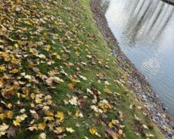 filet coco pour stabilisation et végétalisation de berges et talus