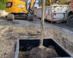 Bac de guidage racines Plantco pour motte d'arbres