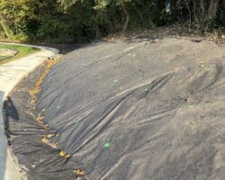 Paillage biodégradable, feutre calandré PLA NT pour espaces verts