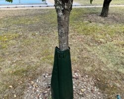 Sac d'arrosage à diffusion lente d'eau pour arbres et jeunes plantations