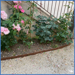 Bordure acier forte épaisseur en corten