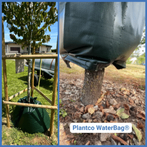 Sac d'arrosage à diffusion lente d'eau pour arbres et jeunes plantations