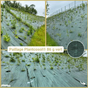 Toile de paillage Plantcosol 86 grammes pour végétalisation de talus et lutte contre l'érosion