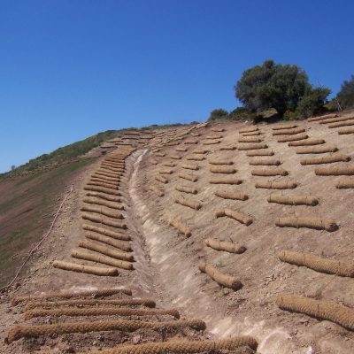 Filet coco pour lutter contre l'érosion et stabiliser les berges et talus