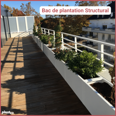 Bac de plantation sans fond pour plantes et arbustes Plantco France Structural